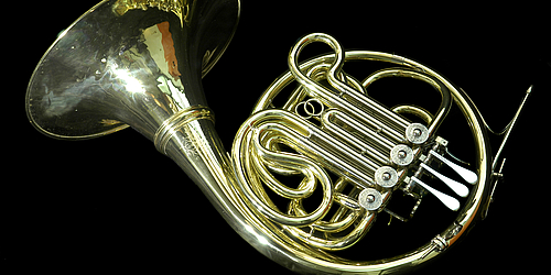 Horn im Konzert   
