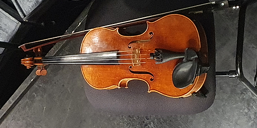Viola im Konzert   