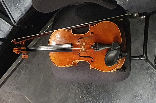 Viola im Konzert   