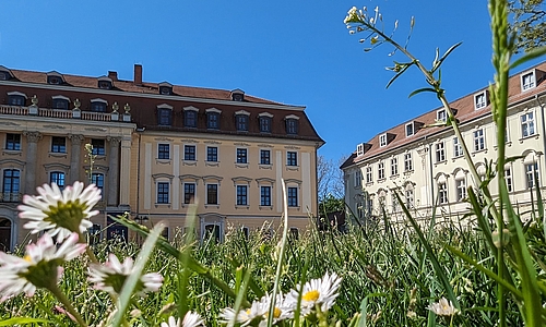 HRK-Jahresversammlung in Weimar