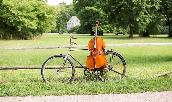 Cello im Park an der Ilm