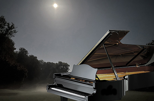 Hommage an Frédéric Chopin   