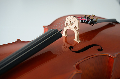Cello in Concert I   