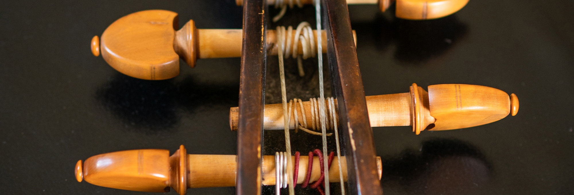 The image shows the pegs of a viola da gamba.