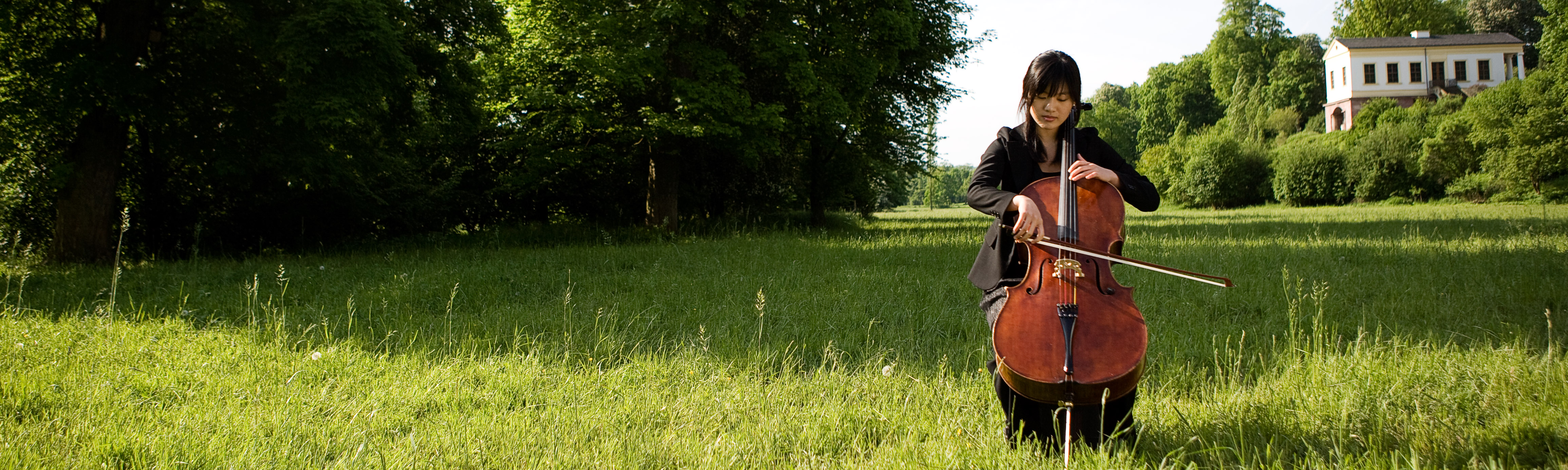 The picture shows a musician in a meadow.