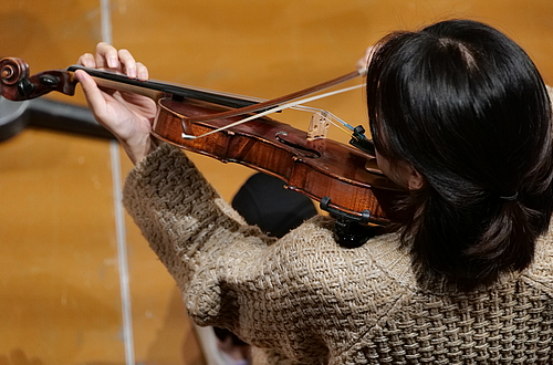 Violine im Konzert   