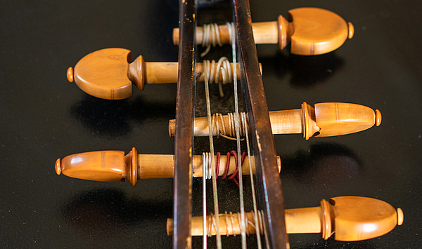 Das Foto zeigt den Hals einer Gambe.