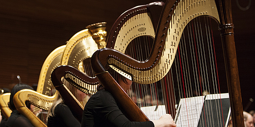 Harfe im Konzert - Virtuose Soloharfe   