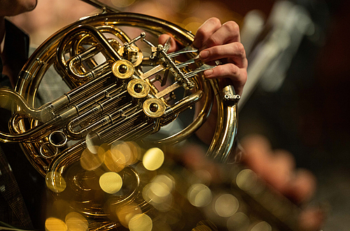 Horn im Konzert   