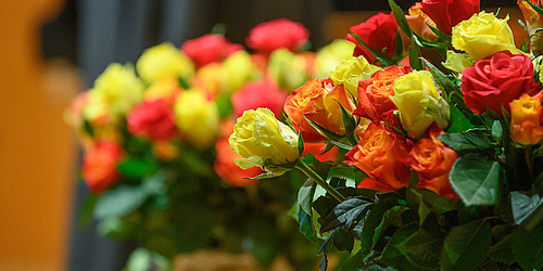 Verleihung "Franz Liszt Ehrenpreis" an Nike Wagner   