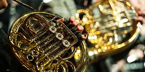 Horn im Konzert   