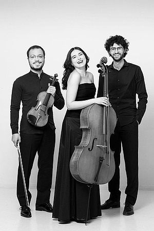 The picture shows three musicians.
