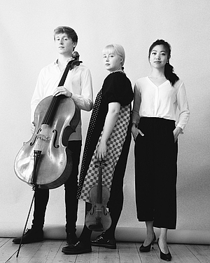 The picture shows three musicians.