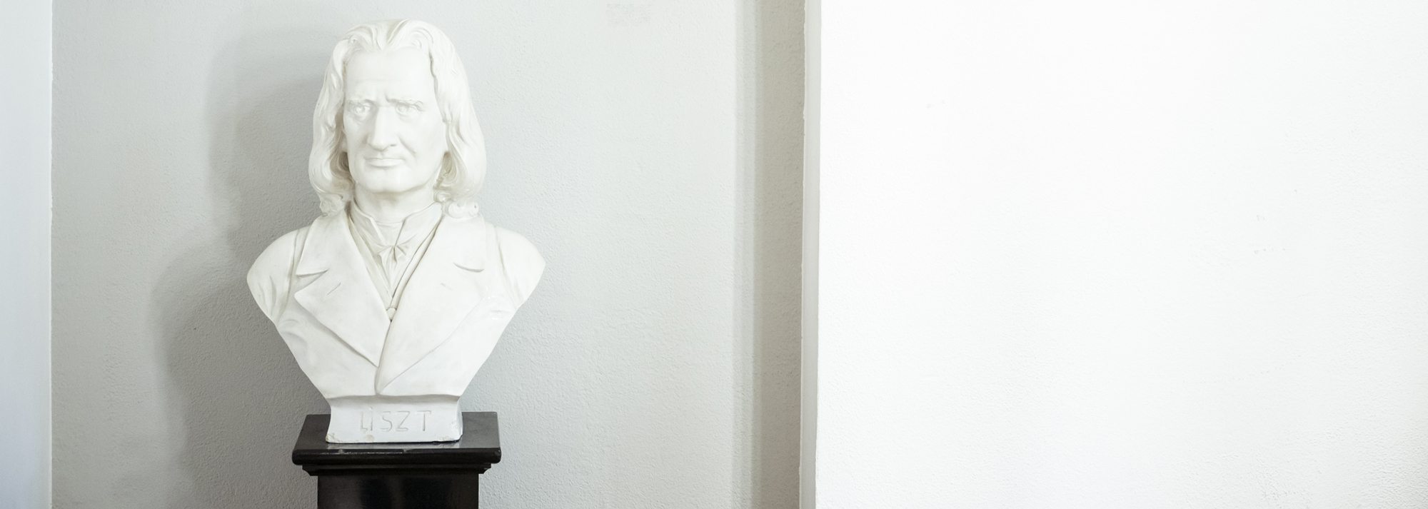 The picture shows a bust of Franz Liszt.