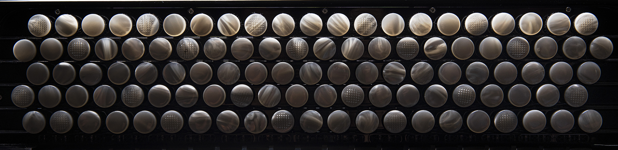 The picture shows the buttons of an accordion.