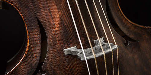 Alte Musik im Konzert   