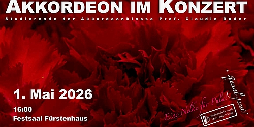 Akkordeon im Konzert   