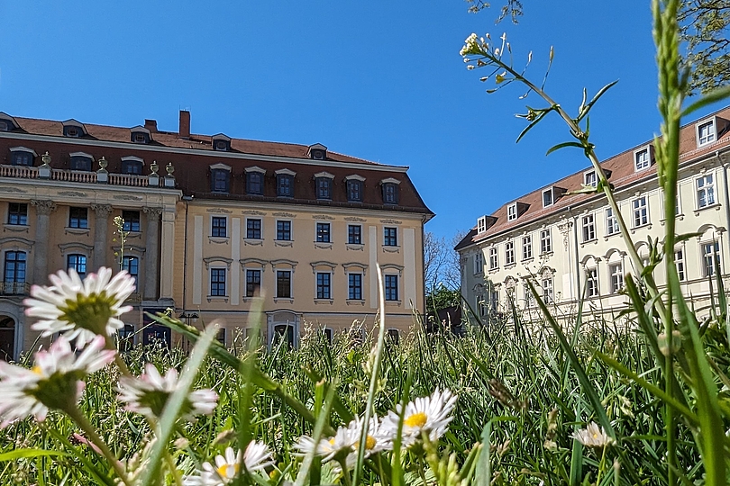 HRK-Jahresversammlung in Weimar