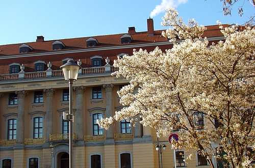 Konzertexamen Gesang   