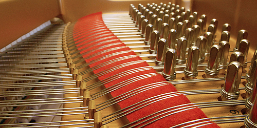 Sterne von Morgen   