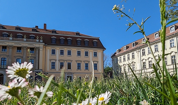 Das Bild zeigt historische Gebäude.