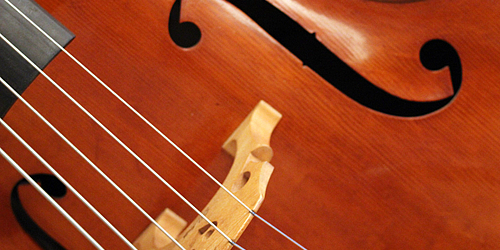 Kontrabass im Konzert   