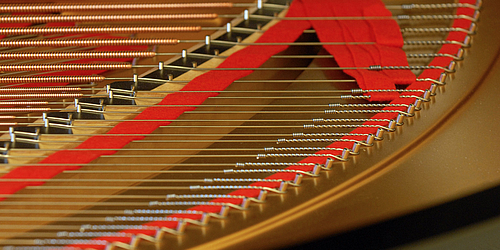 Sterne von Morgen   