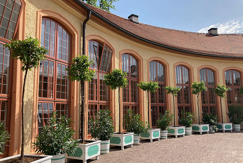 Vorträge und Konzerte