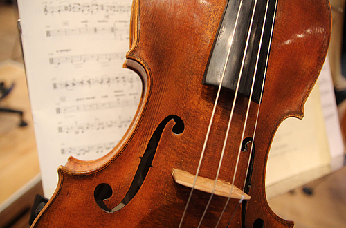 Viola im Konzert   