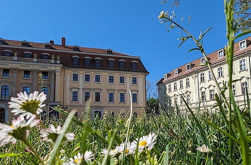 Gesang im Konzert   