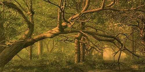 "Verwunschen" - Märchen und Sagen in Liedern von Haydn bis Zemlinsky   