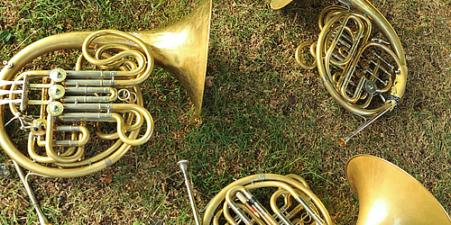 Horn im Konzert   